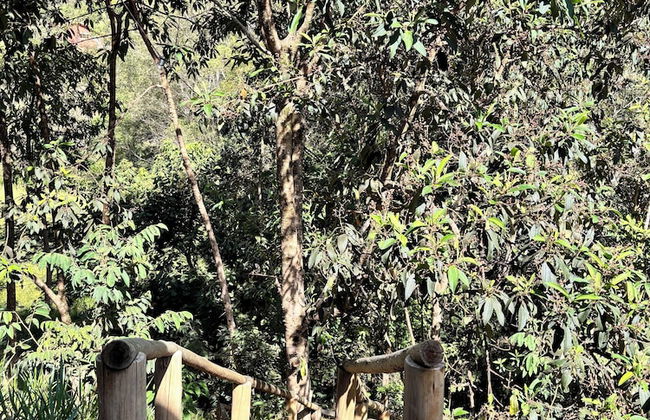 Into the Wild - Foto 7