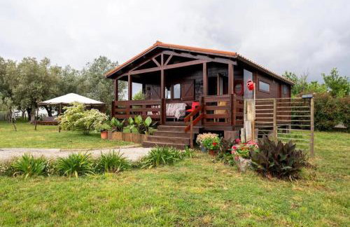 Casa da Lagoa Pateira - Foto 14