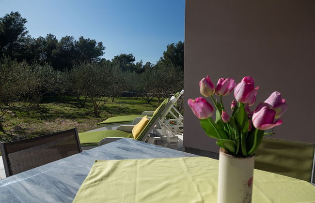 Olive Eden - Foto 16