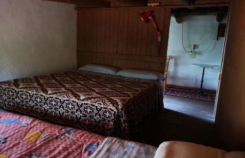 Pinnettu sardo casa di campagna in ecosistema insetti e animaletti simpatici in condivisione,Leggere attentamente Prima di prenotare - Foto 79