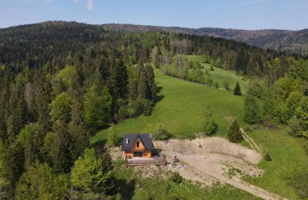 Domek w drapie - Foto 1