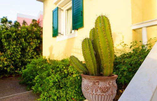 JASMINE OF POSEIDONIA - Foto 49