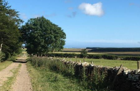 Caithness View Luxury Farm Lodges and BBQ Huts - Photo 33