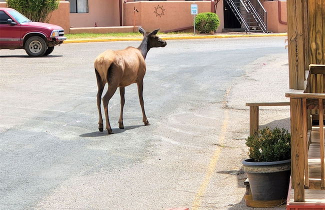 Pinecliff Village - Foto 37