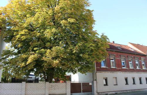 Große komfortable Ferienwohnung in Dessau-Roßlau - Foto 4