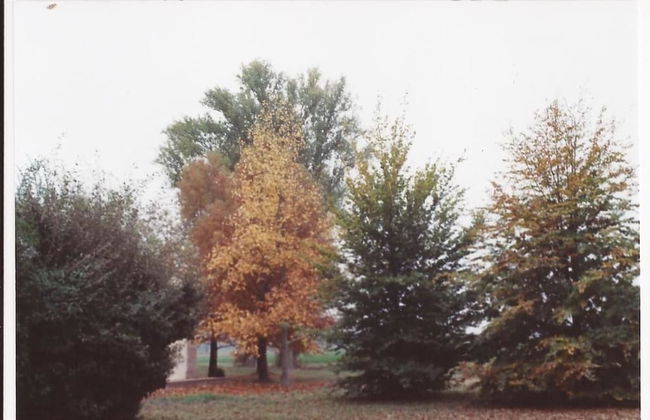 Alla Cedrara agriturismo - Foto 32