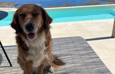 Thermyes Villas 3 with private pool - Foto 4