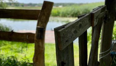 Chata w Ciszy - Foto 2