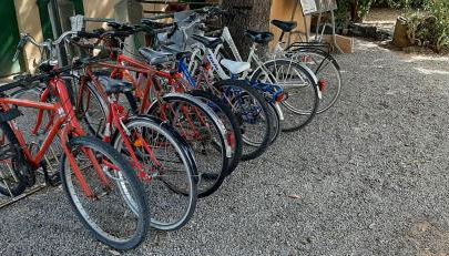 Agriturismo S. Agostino - Foto 5