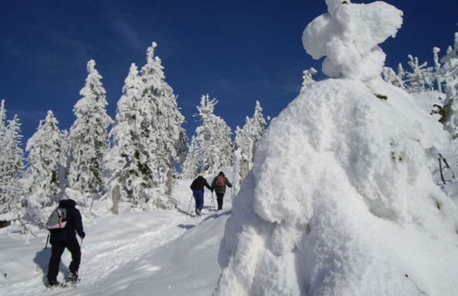 Mountain Apartment in Bad Kotzting - Foto 12