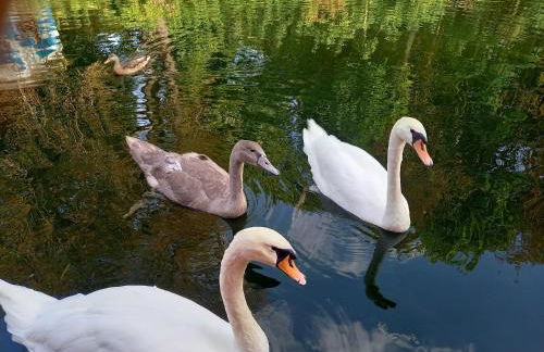 Appartement atypique indépendant sur péniche - Foto 62