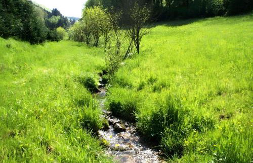 Unterer Gurethshof - Foto 5