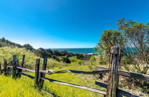 Wild Meadow - Photo 28