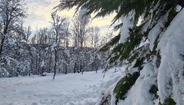Relaxing Mountain House Poljana in Lika - Foto 3