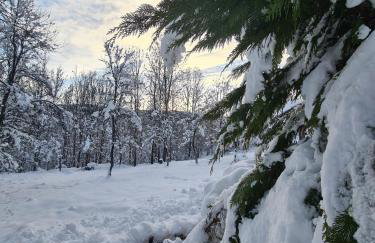 Relaxing Mountain House Poljana in Lika - Foto 3