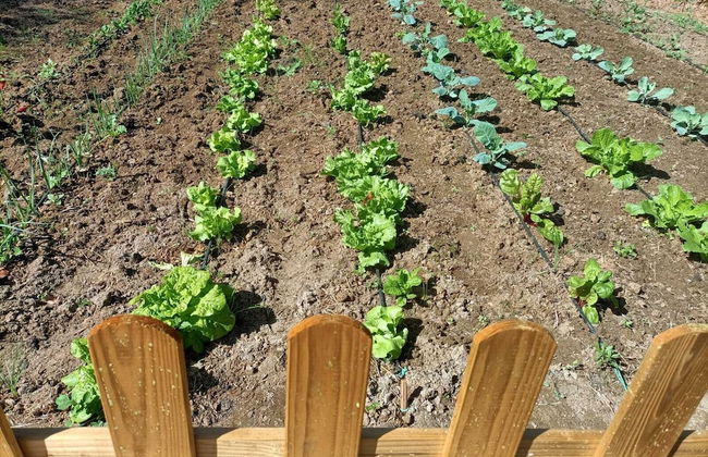 TOTTAM EXPERIENCE - Foto 73