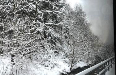 Waldhaus zur Kleinbahn - Photo 11