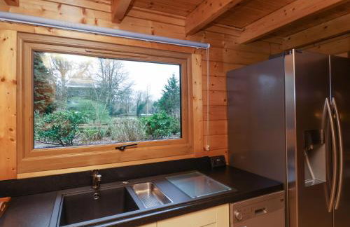 Woodpeckers - Photo 16