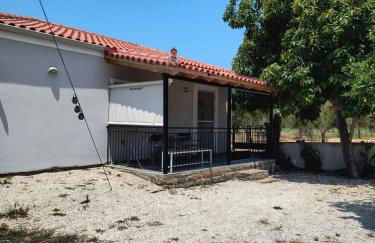 Avocado house - Photo 1