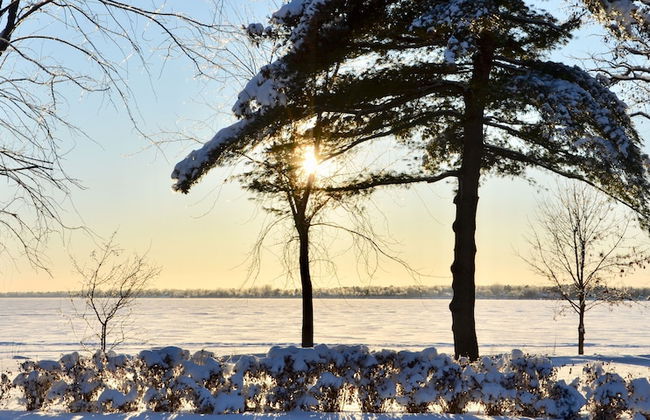 Château Venise - Foto 20