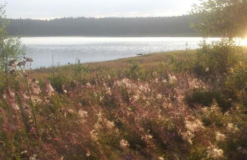 Apartment Fewo Auersberg WGH by Interhome - Foto 10