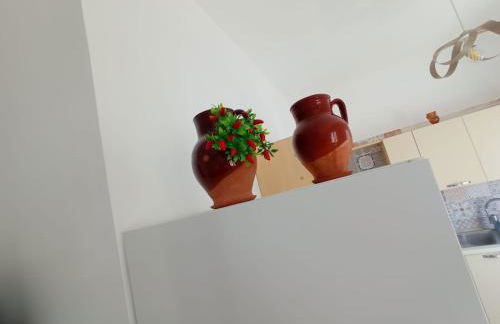 La ramasola & il datterino - Foto 76