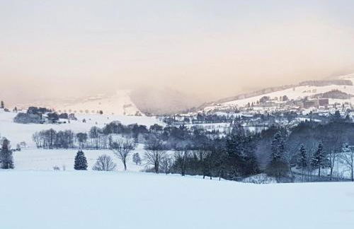 Chalet BERGgrün Willingen - Nähe Skywalk - Foto 25