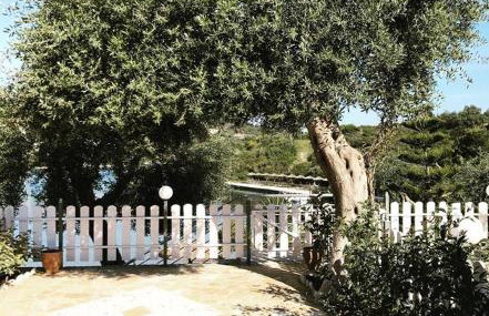 Paxos Bay Studios - Photo 16