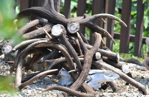 Baita La Stradella - Foto 15