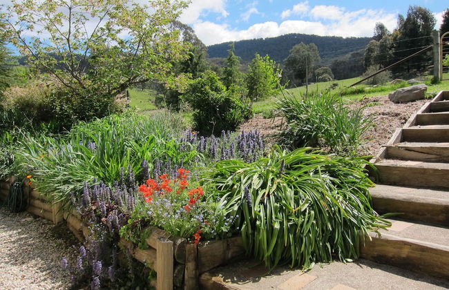 Edelweiss Cottage B&B - Photo 17