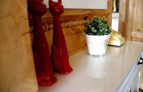 Apartamenty Na Brzegu Szczawnica - Photo 47