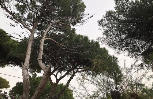 Maison bord de mer climatisée La Capte , Hyères - Foto 25