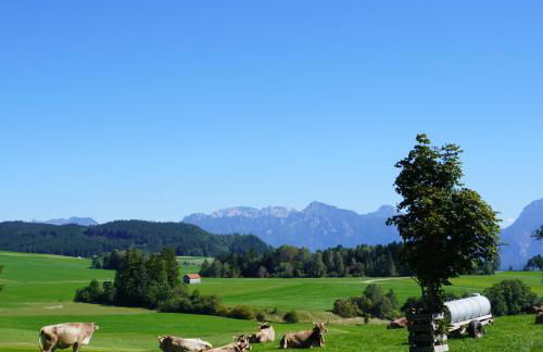 Ferienwohnung Linder - Foto 23