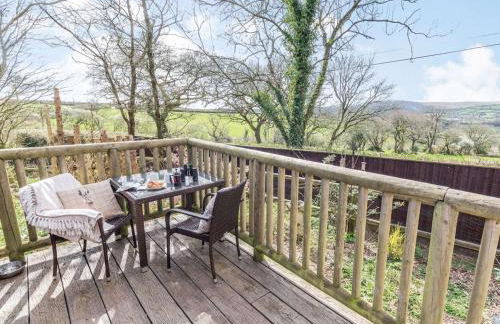 The Pod overlooking Dartmoor - Foto 16