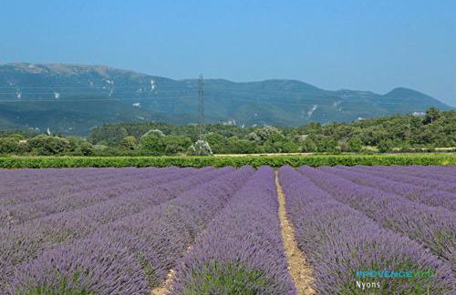 villa les Pins - Foto 8