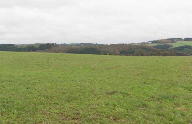 Sellerich Forest Hideaway - Foto 36