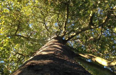 Moulin De Coupigny - Foto 76