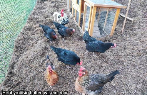 Ferienwohnung Look wide - Foto 23