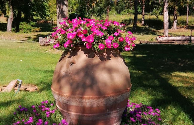 Podere Le Rote Private Farmhouse - Foto 42