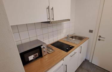 Monteurzimmer - Ferien Wohnungen Leipzig - Sandersdorf-Brehna - Foto 10