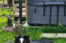 Gîte 4 étoiles La Belle Eau Calme - Foto 10