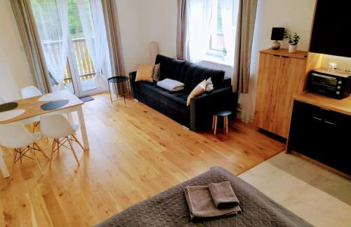 nowy Apartament Willa Sowia z widokiem na Śnieżnik - Foto 20