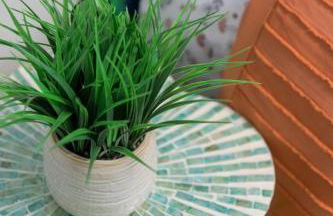 Charming and Cozy 1 Bedroom 1 Bathroom Guest Suite in Silverlake - Foto 34