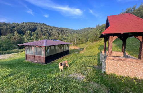 Mały Tiny Domek w górach z kominkiem , Piwniczna-Zdrój - Foto 28