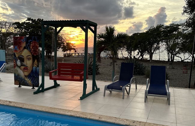 Sunset Village - Photo 6