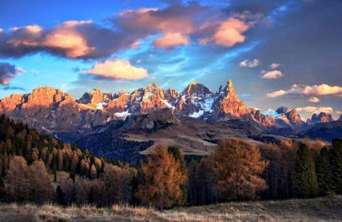 La Piccola Casa Verde - Foto 30