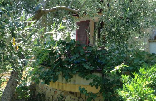 Graziosissima villa - Photo 17