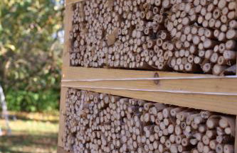 Rezydencja Pod Platanem - Photo 8