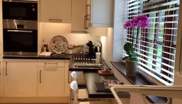 The Burrow - Photo 5