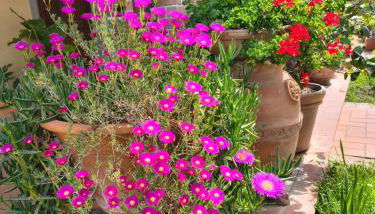 La Giravolta Loft URBAN & GEA - Foto 3